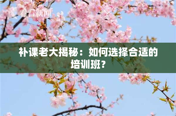 补课老大揭秘：如何选择合适的培训班？
