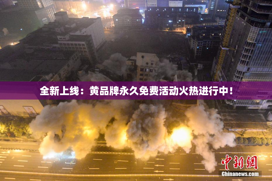全新上线：黄品牌永久免费活动火热进行中！