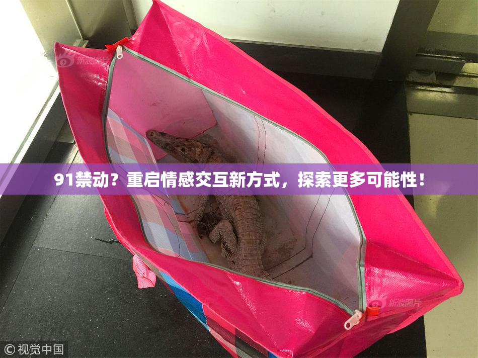 91禁动？重启情感交互新方式，探索更多可能性！