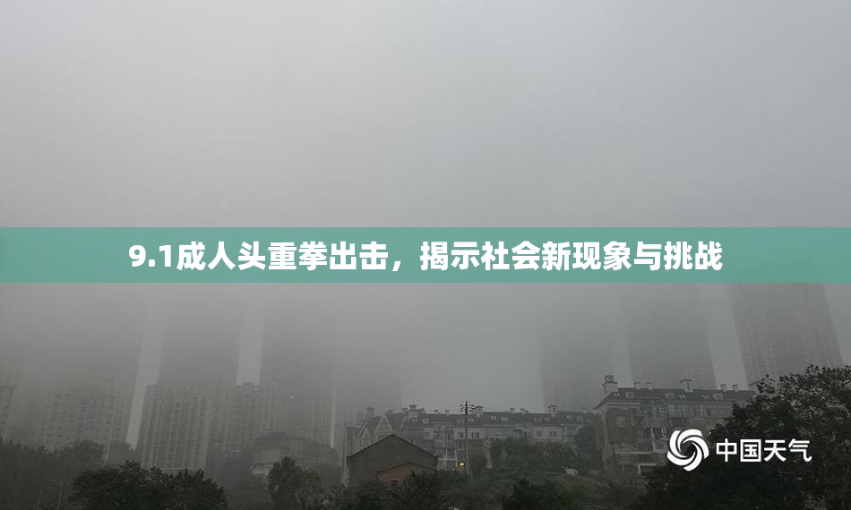 9.1成人头重拳出击，揭示社会新现象与挑战