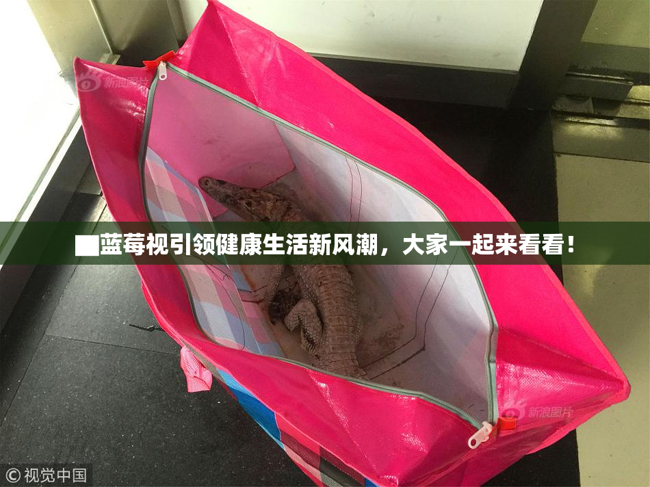 ▇蓝莓视引领健康生活新风潮，大家一起来看看！
