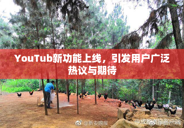 YouTub新功能上线，引发用户广泛热议与期待