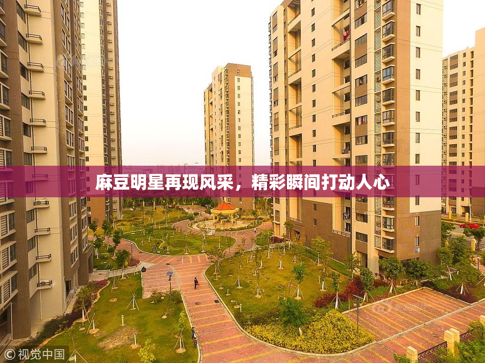 麻豆明星再现风采，精彩瞬间打动人心