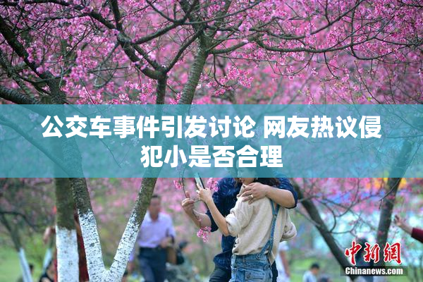 公交车事件引发讨论 网友热议侵犯小是否合理