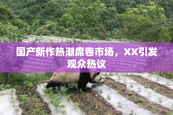 国产新作热潮席卷市场，XX引发观众热议