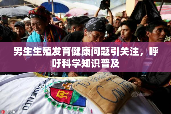 男生生殖发育健康问题引关注，呼吁科学知识普及