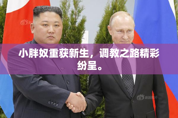小胖奴重获新生，调教之路精彩纷呈。