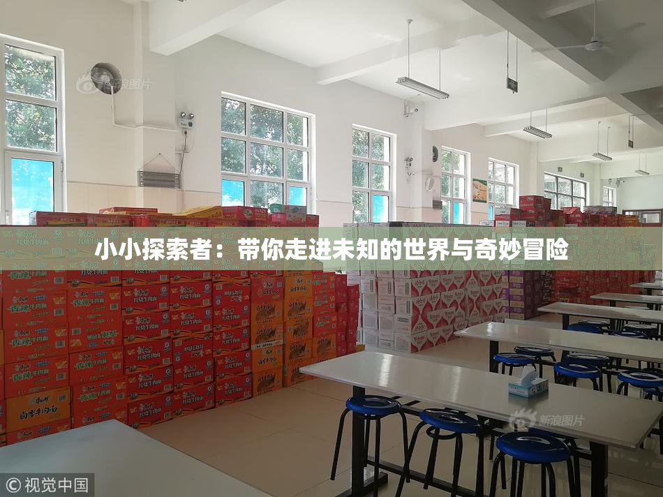 小小探索者：带你走进未知的世界与奇妙冒险