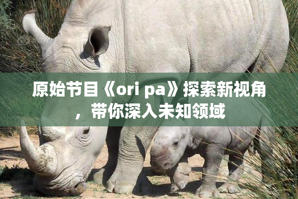 原始节目《ori pa》探索新视角，带你深入未知领域
