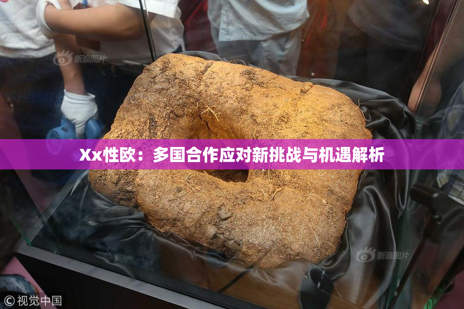 Xx性欧：多国合作应对新挑战与机遇解析
