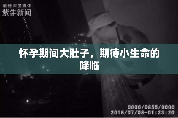 怀孕期间大肚子，期待小生命的降临