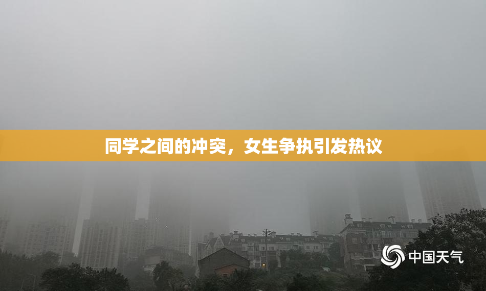同学之间的冲突，女生争执引发热议