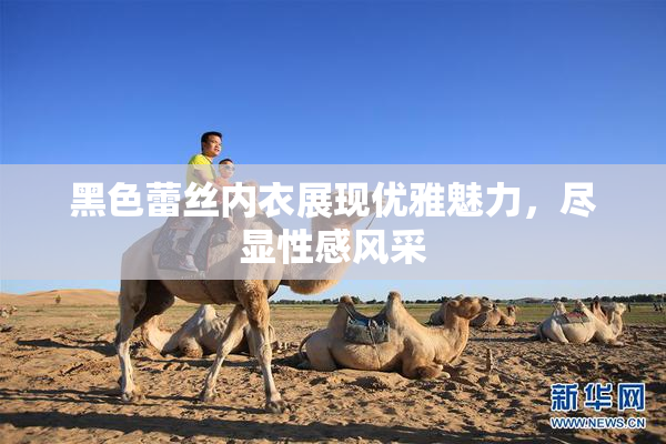黑色蕾丝内衣展现优雅魅力，尽显性感风采