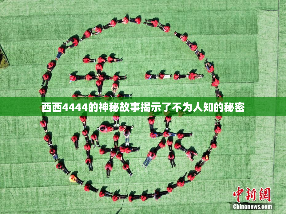西西4444的神秘故事揭示了不为人知的秘密