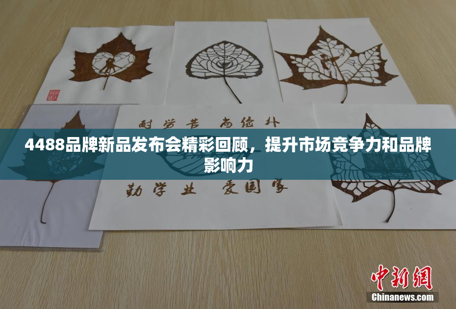 4488品牌新品发布会精彩回顾，提升市场竞争力和品牌影响力