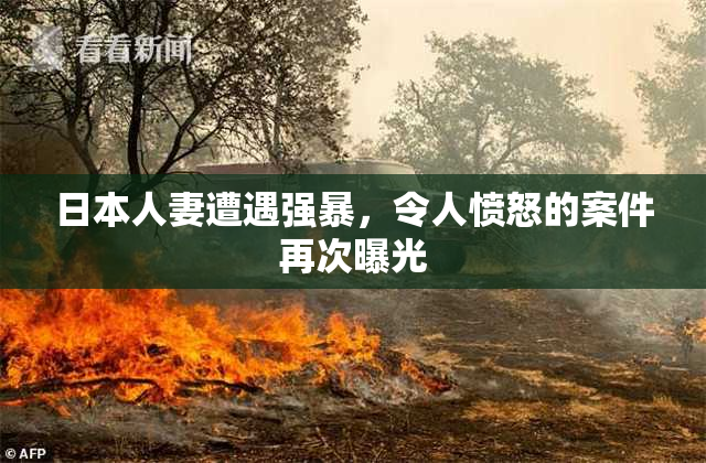 日本人妻遭遇强暴，令人愤怒的案件再次曝光