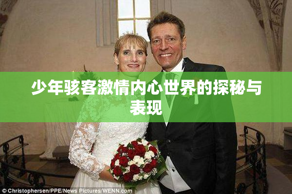 少年骇客激情内心世界的探秘与表现