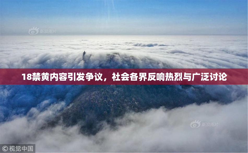 18禁黄内容引发争议，社会各界反响热烈与广泛讨论
