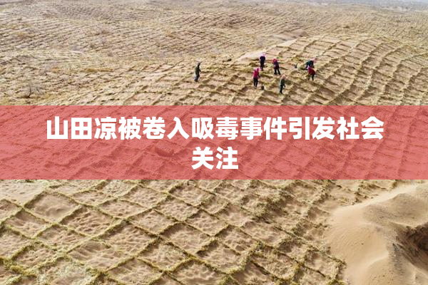 山田凉被卷入吸毒事件引发社会关注