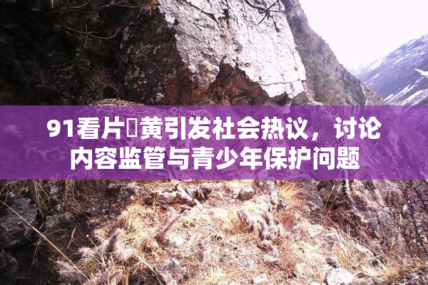 91看片婬黄引发社会热议，讨论内容监管与青少年保护问题