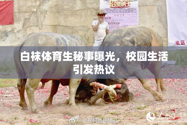 白袜体育生秘事曝光，校园生活引发热议