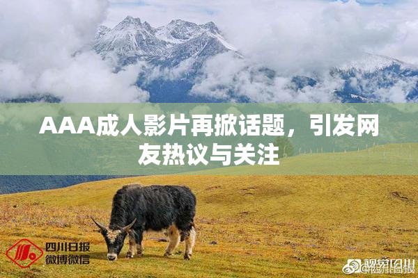 AAA成人影片再掀话题，引发网友热议与关注