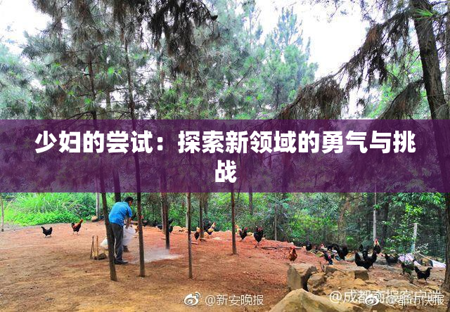 少妇的尝试：探索新领域的勇气与挑战