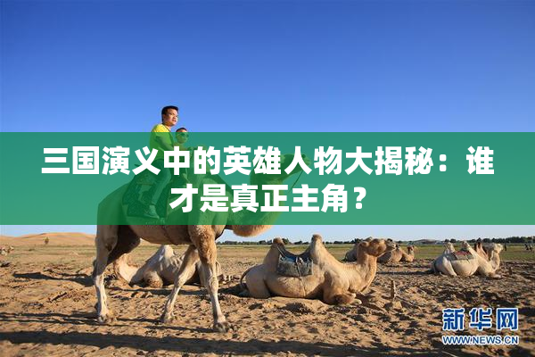 三国演义中的英雄人物大揭秘：谁才是真正主角？