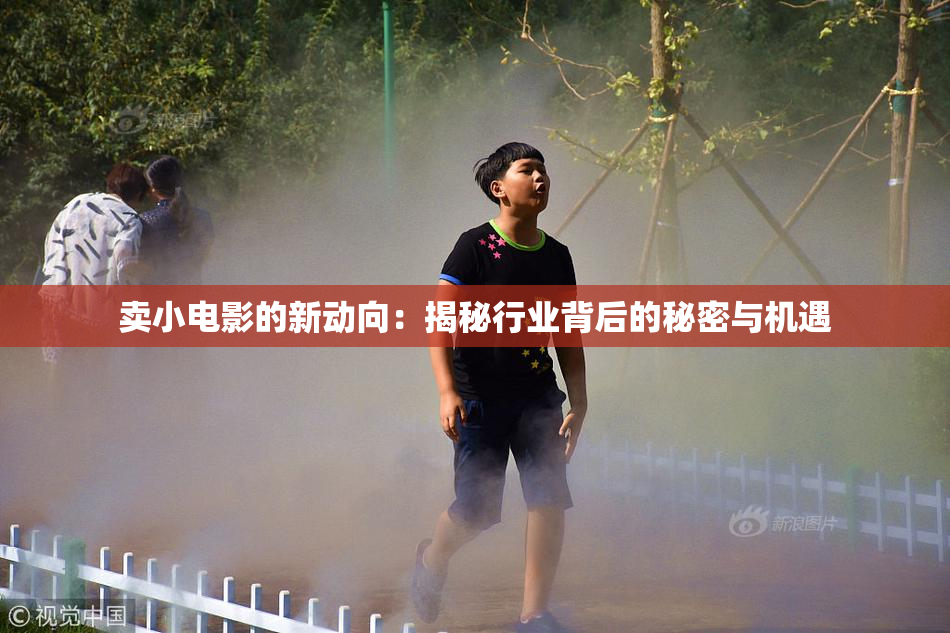 卖小电影的新动向：揭秘行业背后的秘密与机遇