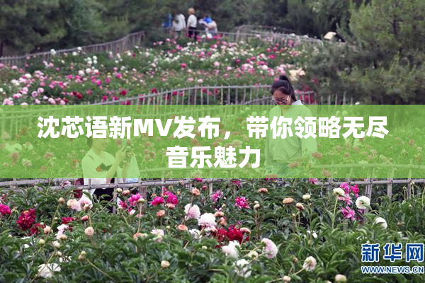 沈芯语新MV发布，带你领略无尽音乐魅力