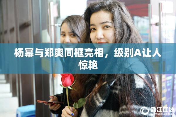 杨幂与郑爽同框亮相，级别A让人惊艳