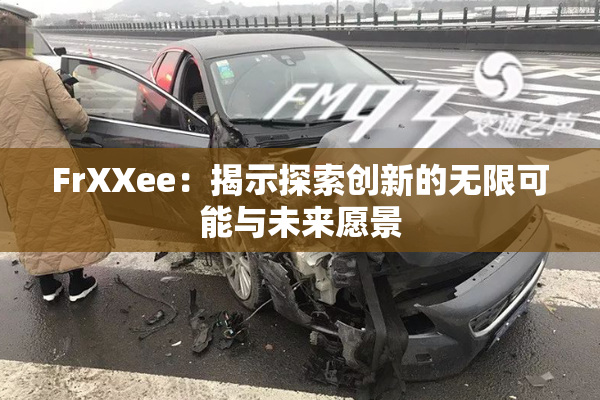 FrXXee：揭示探索创新的无限可能与未来愿景