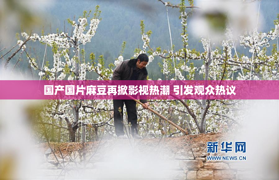 国产国片麻豆再掀影视热潮 引发观众热议