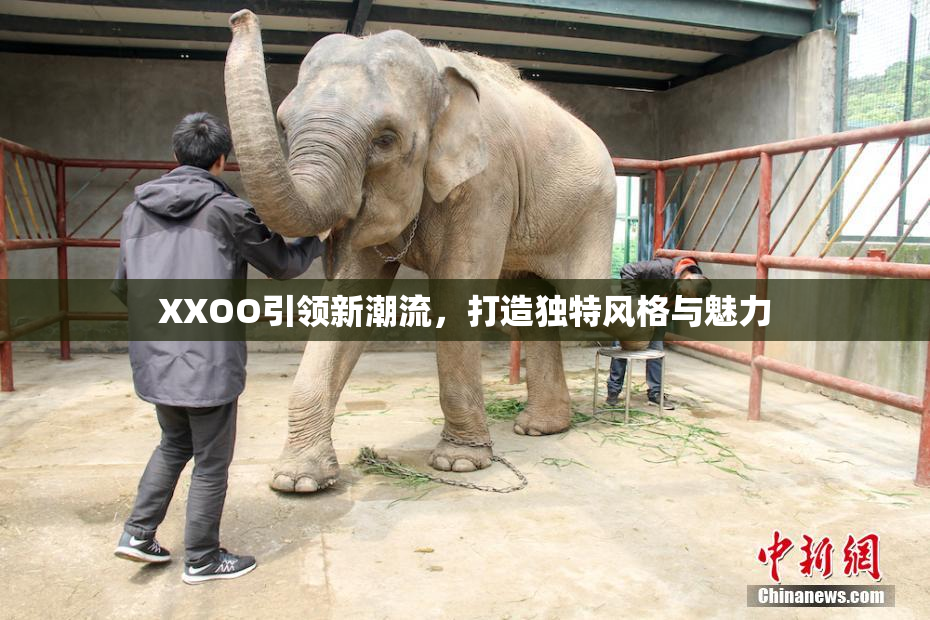 XXOO引领新潮流，打造独特风格与魅力
