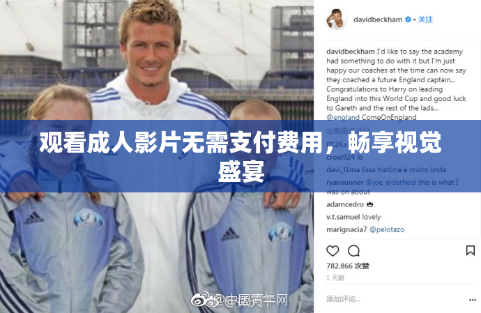 观看成人影片无需支付费用，畅享视觉盛宴