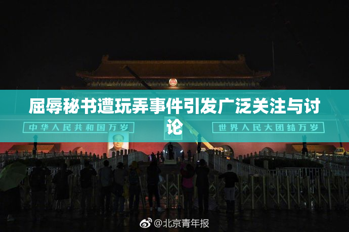 屈辱秘书遭玩弄事件引发广泛关注与讨论