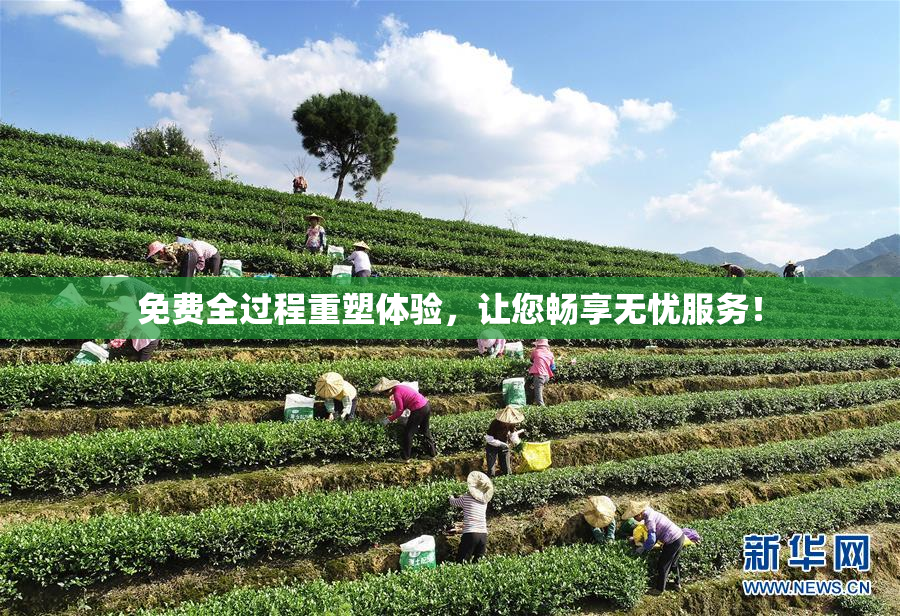 免费全过程重塑体验，让您畅享无忧服务！