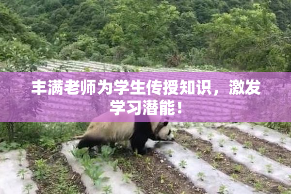 丰满老师为学生传授知识，激发学习潜能！