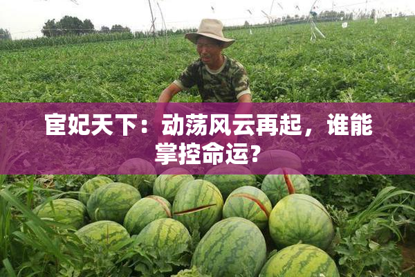 宦妃天下：动荡风云再起，谁能掌控命运？