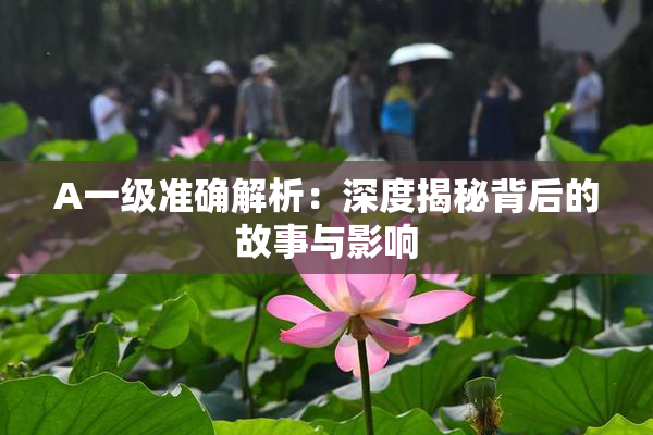 A一级准确解析：深度揭秘背后的故事与影响