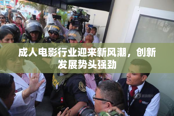 成人电影行业迎来新风潮，创新发展势头强劲