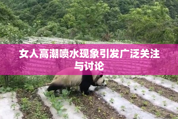 女人高潮喷水现象引发广泛关注与讨论