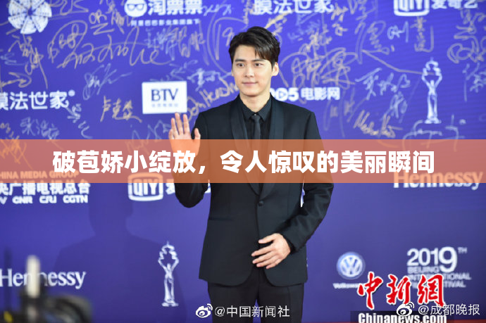 破苞娇小绽放，令人惊叹的美丽瞬间