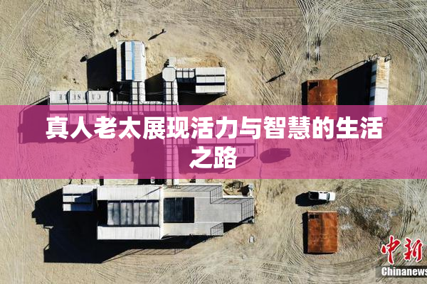 真人老太展现活力与智慧的生活之路