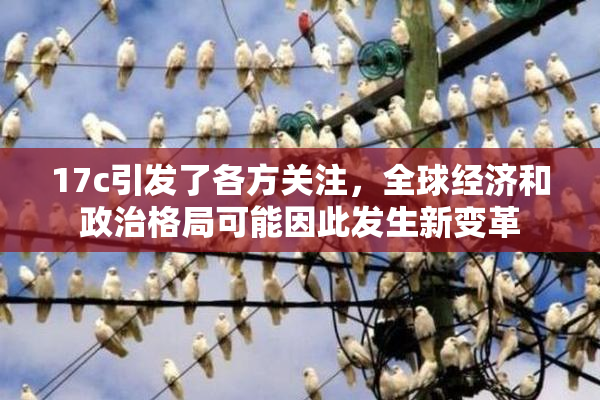 17c引发了各方关注，全球经济和政治格局可能因此发生新变革