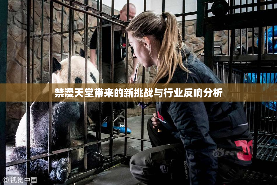 禁漫天堂带来的新挑战与行业反响分析