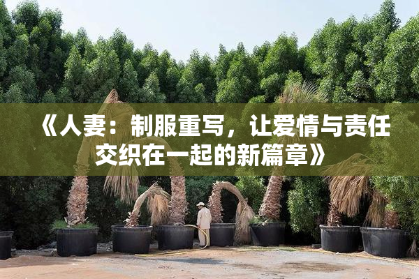 《人妻：制服重写，让爱情与责任交织在一起的新篇章》