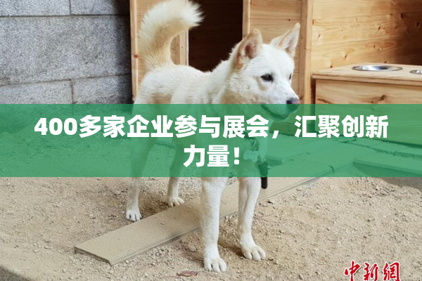 400多家企业参与展会，汇聚创新力量！