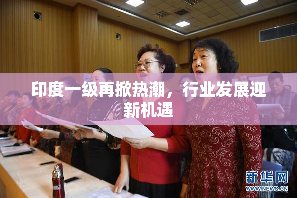印度一级再掀热潮，行业发展迎新机遇