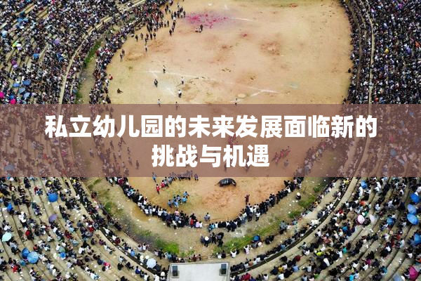 私立幼儿园的未来发展面临新的挑战与机遇